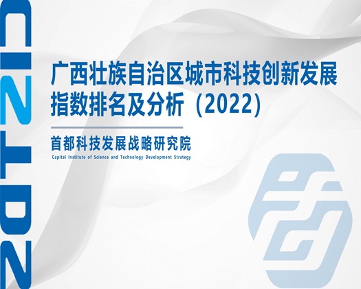 插妇逼欲在线观看【成果发布】广西壮族自治区城市科技创新发展指数排名及分析（2022）